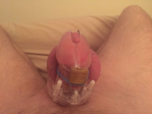 tumblr photo willhornu0 0