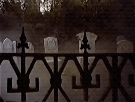 gameraboy:The Haunted Mansion at Walt Disney World, 1984