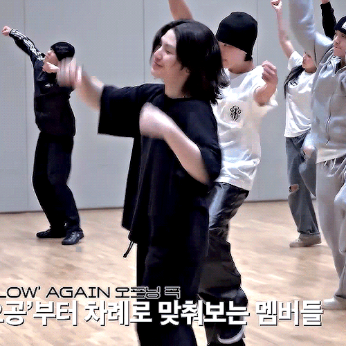 Woozi's Lion Hair