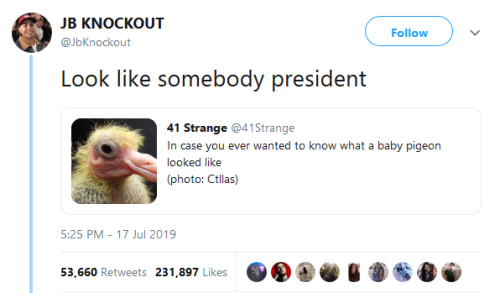 yurilanegra:gahdamnpunk:Baby pigeon sweetie I’m so sorryOur PM too