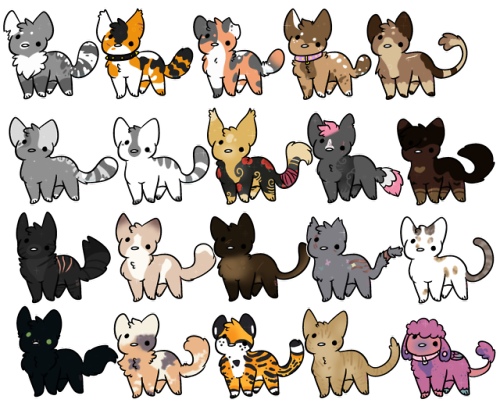 ive gotten so many now, but i’m not stoppin just yet!! get u cat here for only 1 entire k