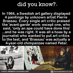 Porn did-you-know:In 1964, a Swedish art gallery photos