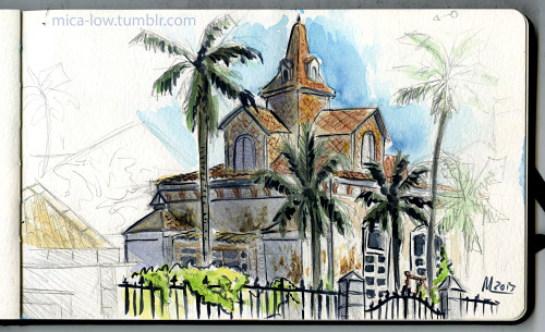 sao-miguel-with-an-iphone:Last set of São Miguel sketches: more plants, a final dinner at Maria’s,