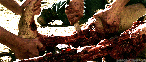 horroroftruant:  “The Ruins" (2008) | Carter Smith 