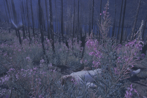 nataliekucken:brendon in glacier, july