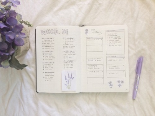 studyingsenseless:08.05.17 • a lavender spread.Honestly I’ve been pretty lethargic lately