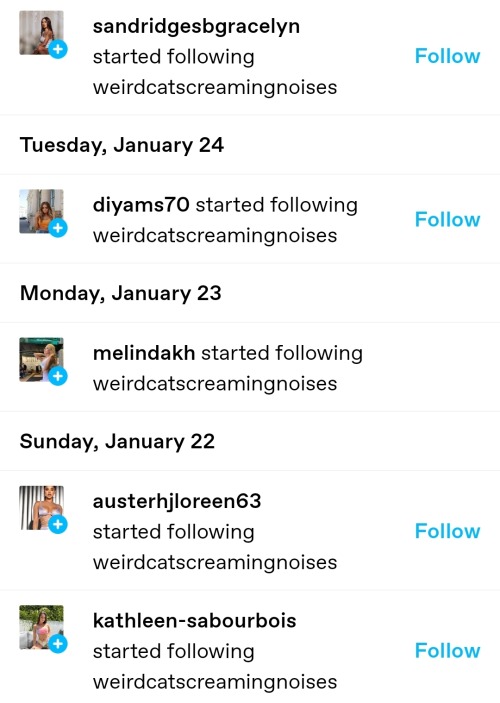 Yes/no Do These Seem Like Bots