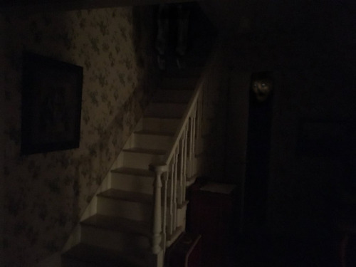 slimyswampghost:the house wakes up