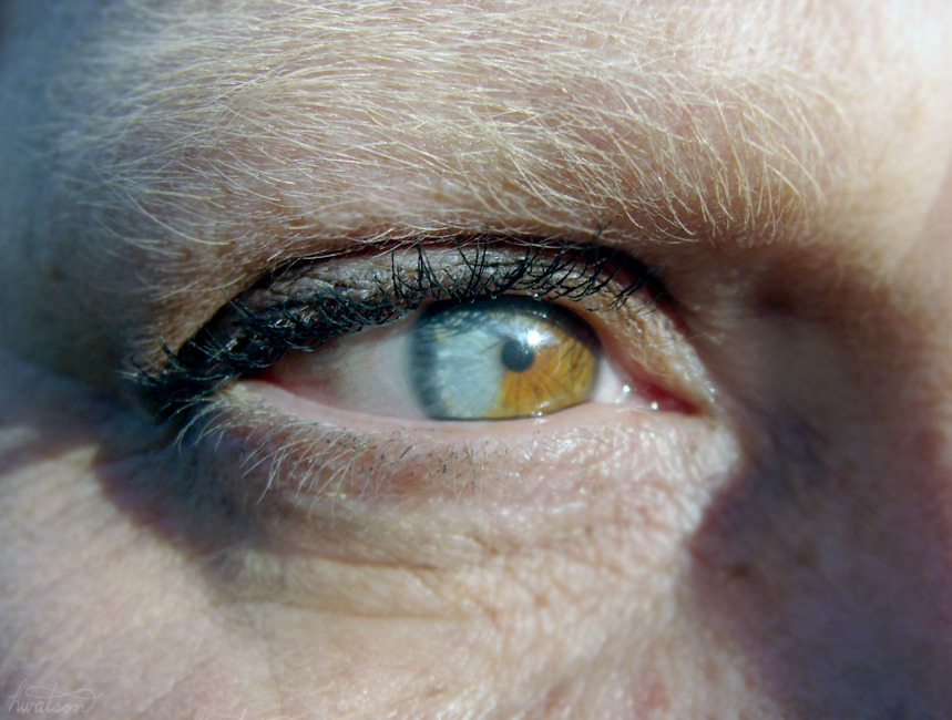 frolicingintheforest:  My Mom has an awesome eye!!! It’s nearly perfectly half