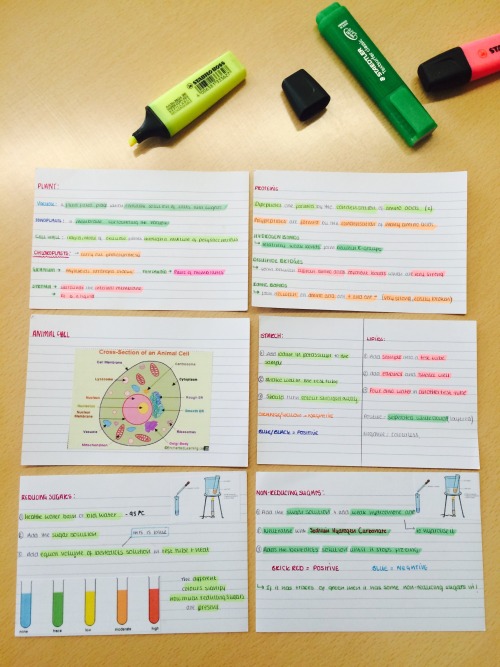 elliemae215:6 of many revision cards for biology - some also also double sided X
