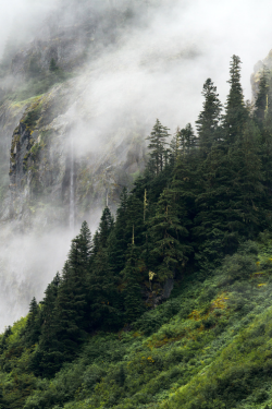 expressions-of-nature:Mist &amp; Waterfall | Adam Steenwyk