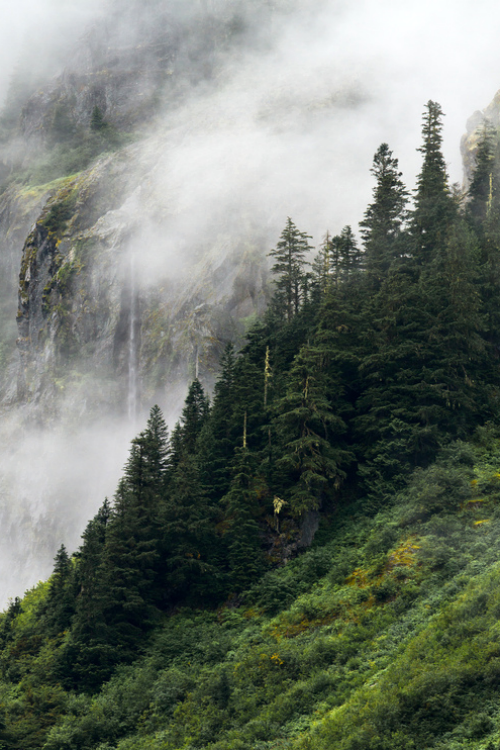 expressions-of-nature:Mist & Waterfall | Adam Steenwyk