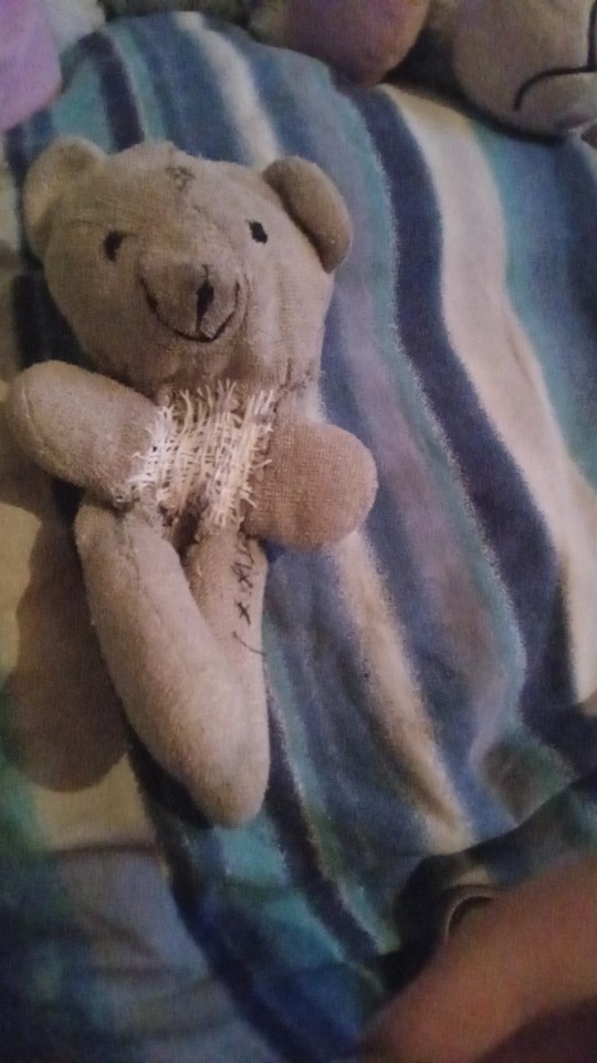 Here Is My Oc Base On My Plush