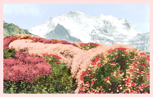 in-frame:Inspired by the mountains of Switzerland and dreamy vintage post cards. Mountain post card 