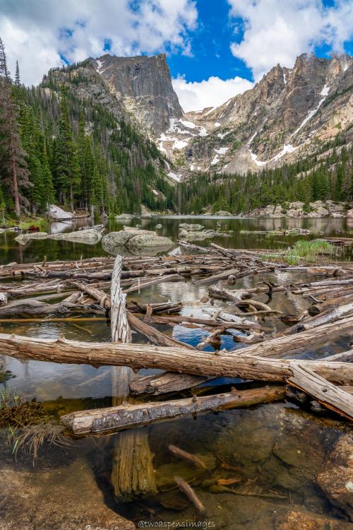 oneshotolive:  Brook Trout in Dream Lake , Rocky Mountain National Park, Colorado, USA [OC] [4902x7353] 📷: twoaspensimages 