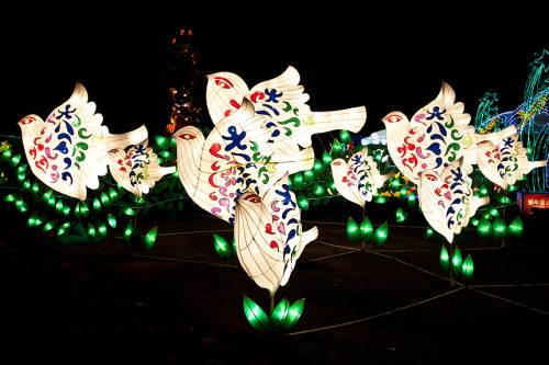 fuckyeahchinesefashion:fuckyeahchinesefashion:lantern festival photos via lofterHappy lantern festiv