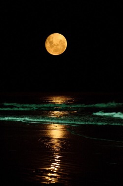 teenagershine:  Moonlight