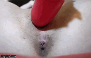 filledfille:  Stretch me up inside