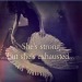 silkandfirewordsmith73-deactiva:texasred43:She wants to find home. She is tired of
