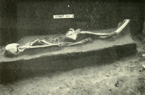 deathandmysticism:Bulletin, Smithsonian Institution, Bureau of American Ethnology, 1901