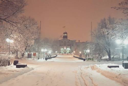 Snowy McGill #montreal #quebec #mcgill #university #architecture #snow #winter #winternight #city #n