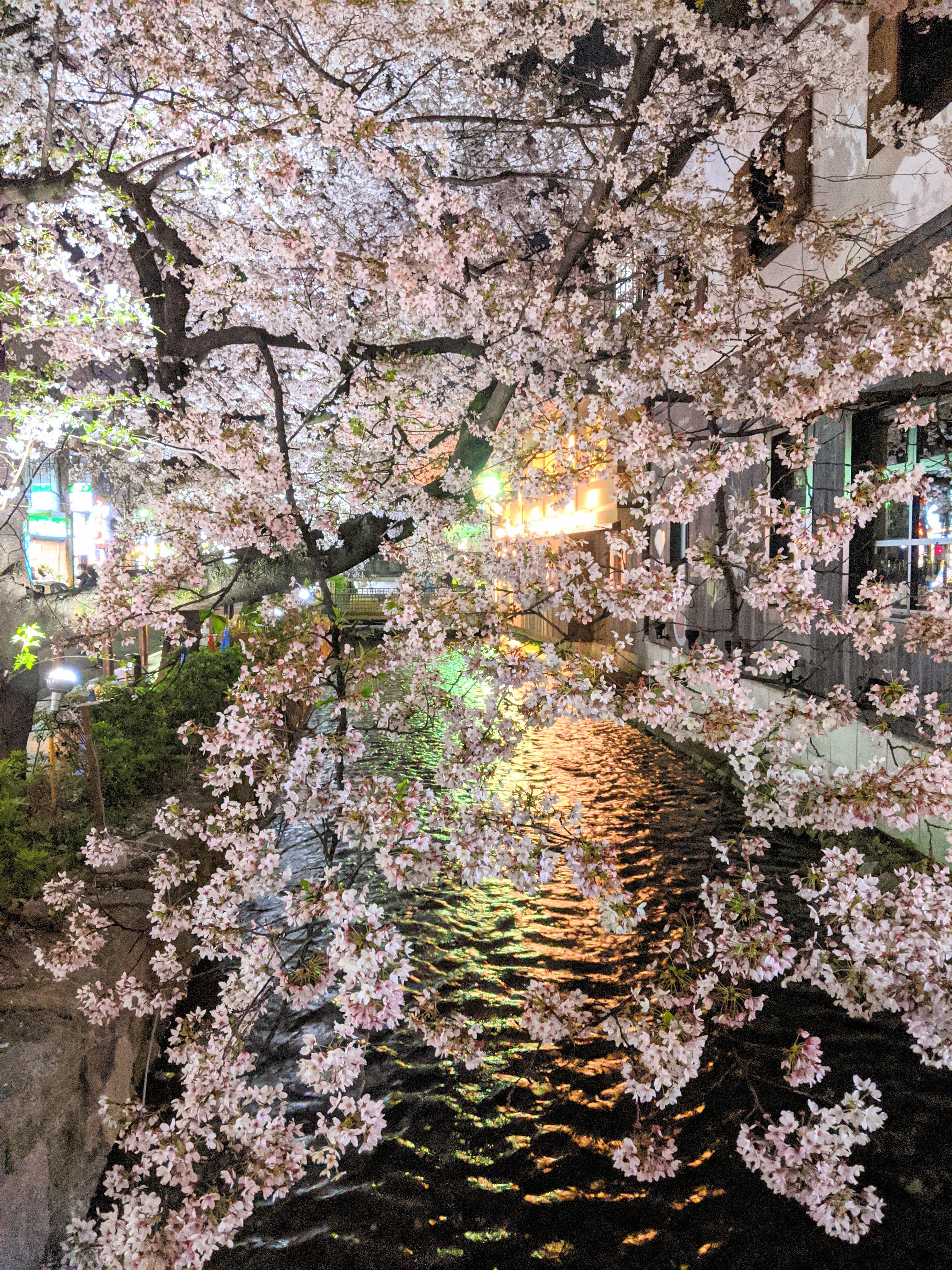 和泉式部 Explore Tumblr Posts And Blogs Tumgir 和泉式部 Explore Tumblr Posts And Blogs Tumgir