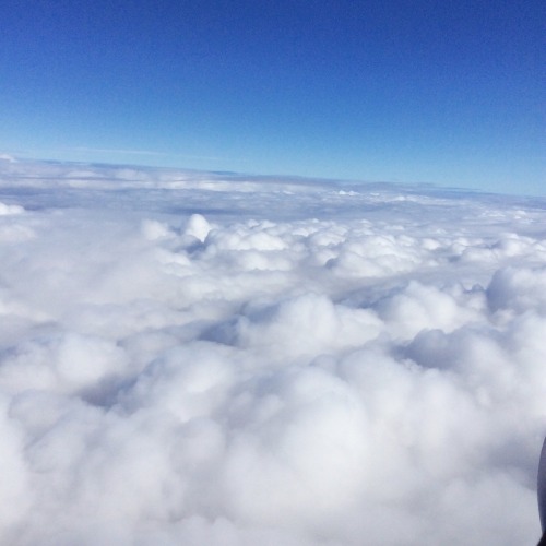 Into The Clouds.✈️