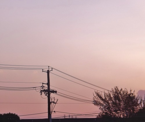 mnagos:soft hues of pink in the sky as I was walking back home today