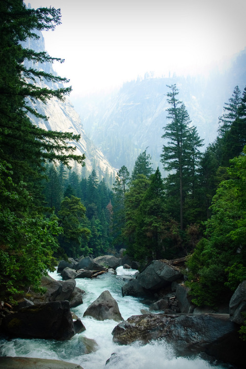 touchdisky:  Raging river by geyerba 