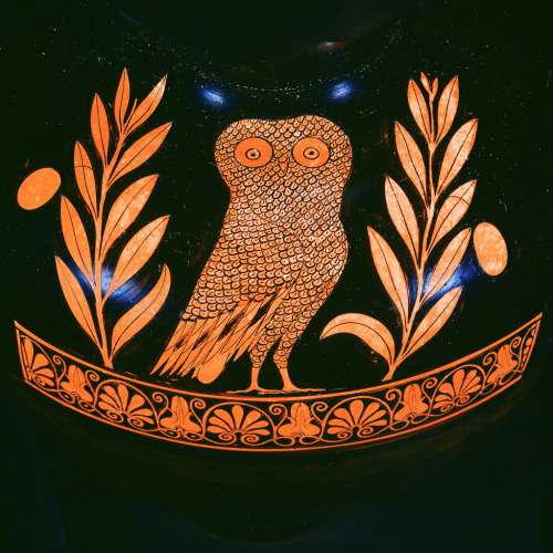 Our t-shirt design &ldquo; Owl of Athena (2nd version)&rdquo; is now available on the Amazon