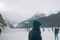 canadianshay:  lake louise, alberta