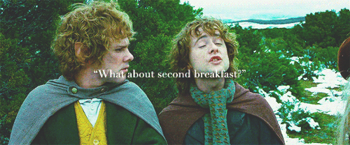 ravnclaws:   the lord of the rings: the fellowship of the ring ➺ iconic lines.