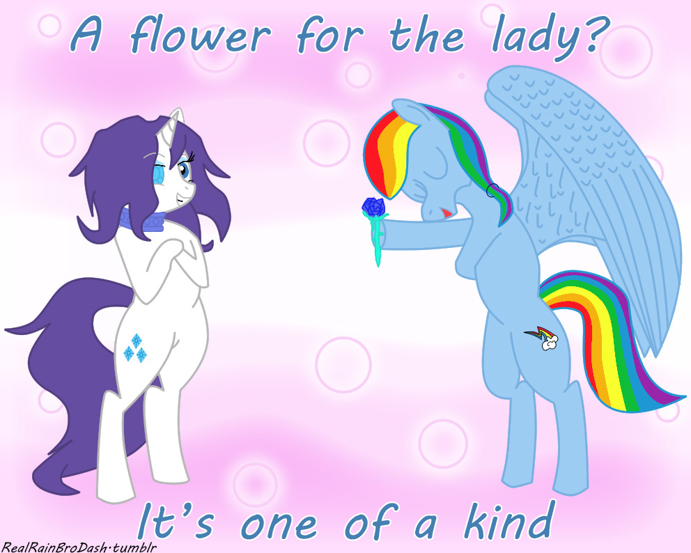 ask-sapphire-eye-rarity:  realrainbrodash:  It would seem that one of the lovely