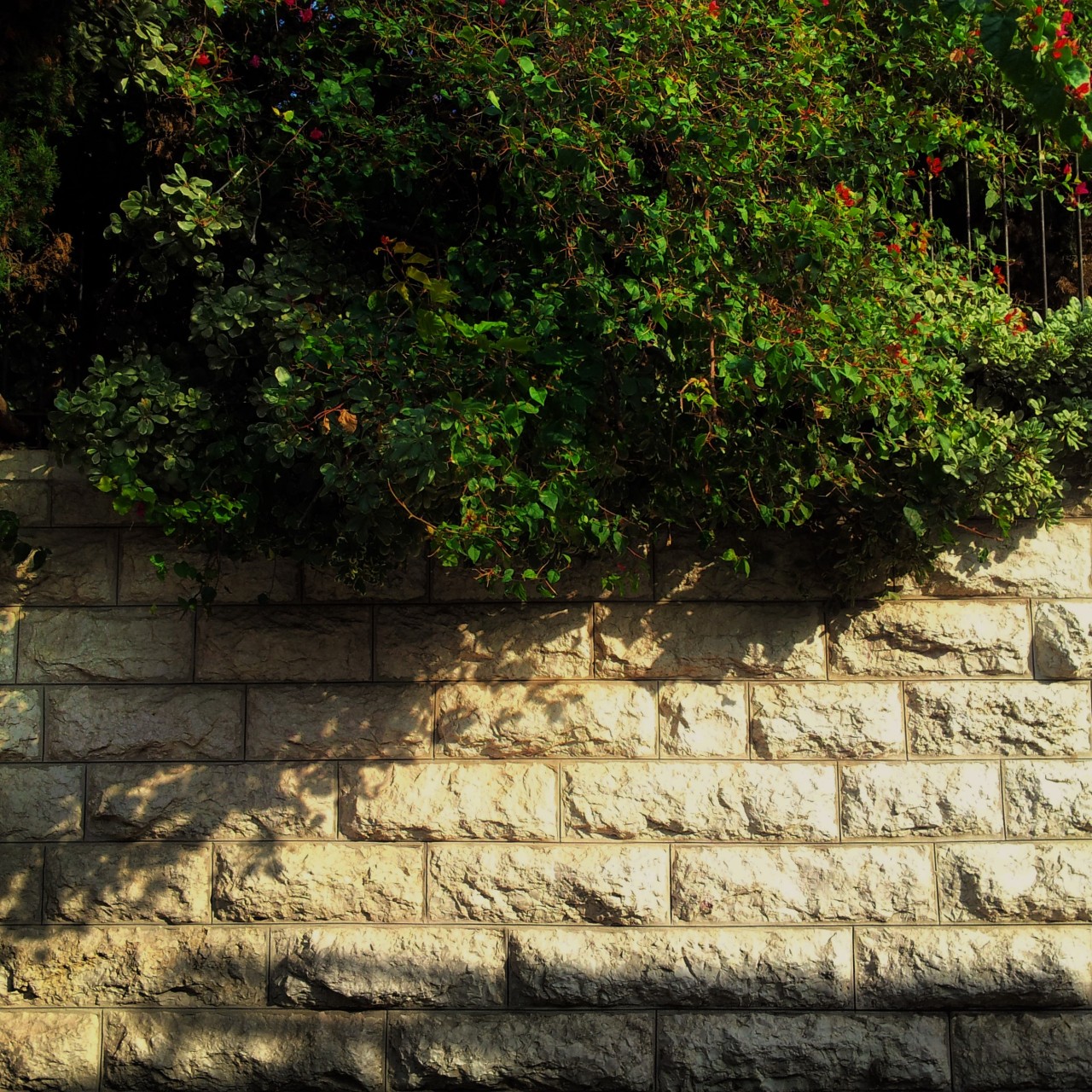 nuraqsa:البلدة القديمة - بيت المقدس - فلسطينThe Old City-