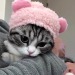 kitty: