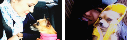 thebarksy:Laura Ann Osnes // Samantha Jane Barks (version1)“I love theatre. This is what I’ve always