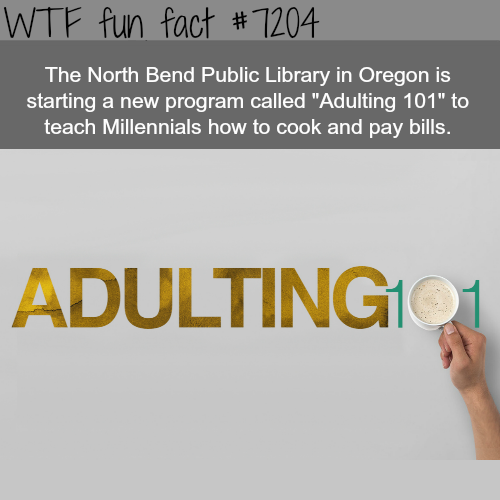 wtf-fun-factss:Adulting 101 - WTF Fun FactTHIS NEEDS TO BE EVERYWHERE?!?!