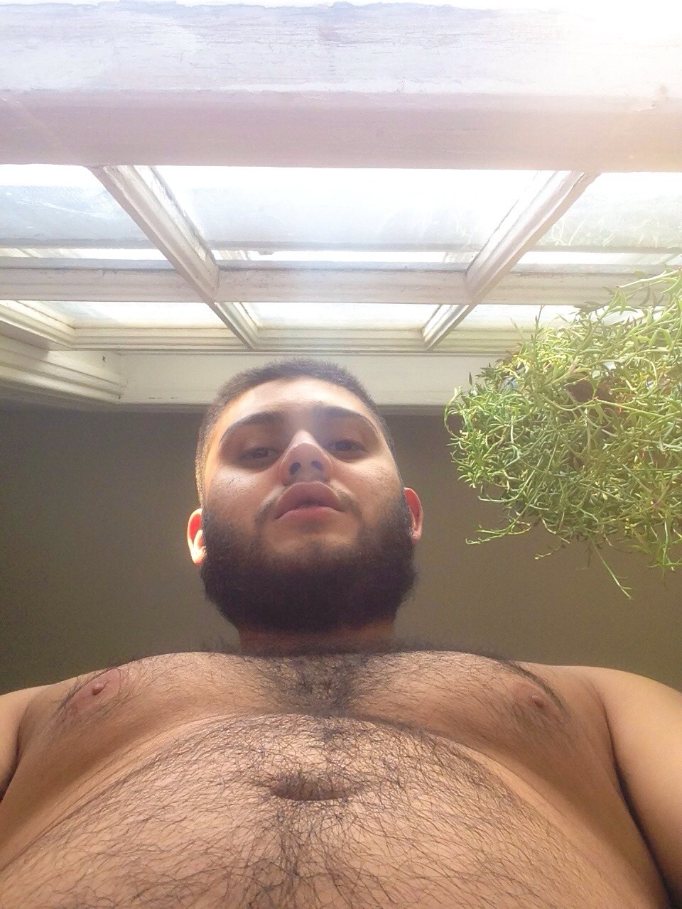 obeythegay:  🍁🍃✌️
