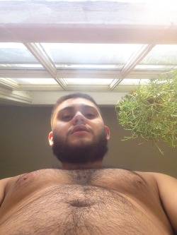 Obeythegay:  🍁🍃✌️