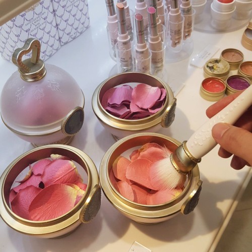 plantag0:  aumtun:  shadio:  avina:  tainico:  Omg so cute  how it work  what is this   where do u get this blush at  FOUND IT! http://evonnz.com/2012/02/les-merveilleuses-de-laduree-face-color-rose-laduree-rose-petals-blush-swatches/ 