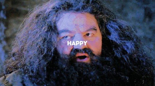 bahtmun: Professor Rubeus Hagrid (b. 6 December 1928)