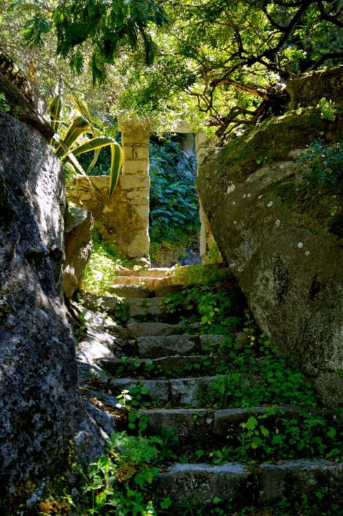 Hidden passage in Caldas de Monchique / Portugal (by John Butler).