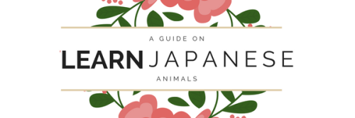 learnjp: Animals | Animal CountersHey guys, I hope you’re all doing well! Today we’re go