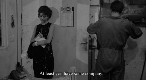  Io la conoscevo bene (Antonio Pietrangeli, 1965) 