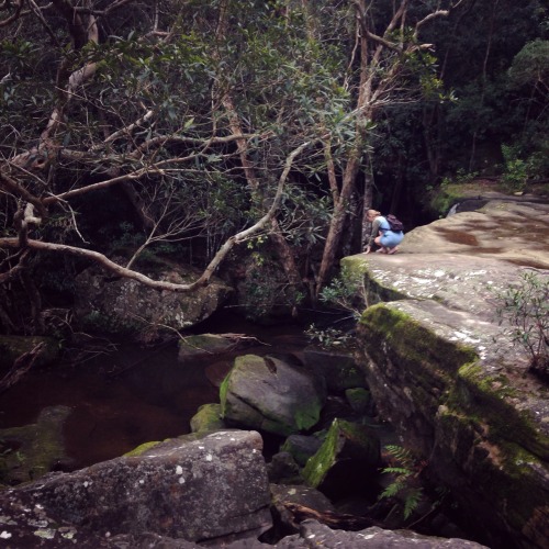 friday’s trip to the bush / waterfall