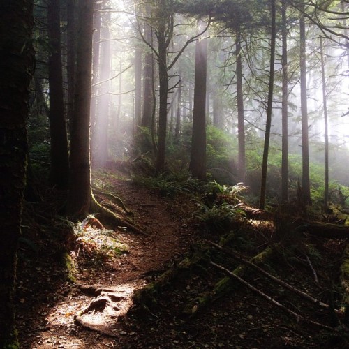 Dramatic lighting ⛅ #vsco#vscocam#exporeoregon (at Tillamook Head Trail)