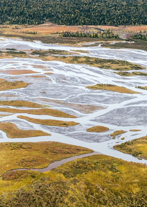 beyondcrowds:Make your own way IVTokositna River, Alaska