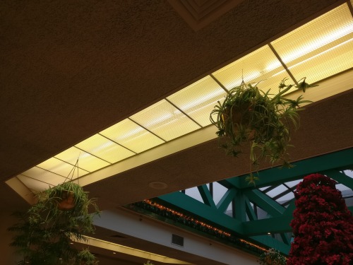 Main Place Mall, Downtown Buffalo NY (late 2019)