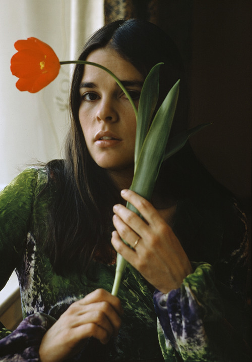 hollywood-portraits: Ali MacGraw photographed by Tony Vaccaro, 1971.