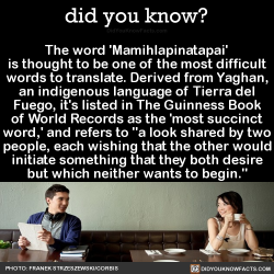 did-you-kno:  The word ‘Mamihlapinatapai’ is thought to be one of the most difficult words to translate. Derived from Yaghan, an indigenous language of Tierra del Fuego, it’s listed in The Guinness Book of World Records as the ‘most succinct word,’